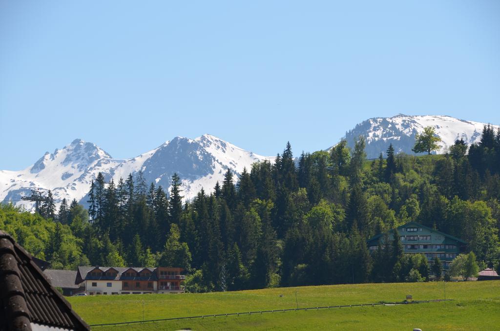 Haus Pitzer/Apartments Troicher Schladming Rum bild