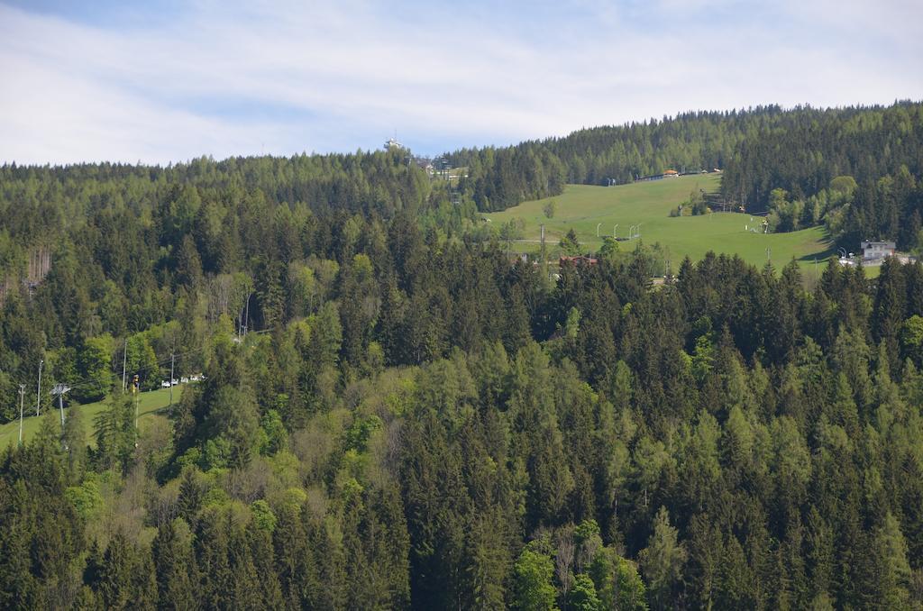 Haus Pitzer/Apartments Troicher Schladming Rum bild